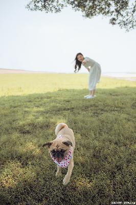 大米星球最新NETFLIX